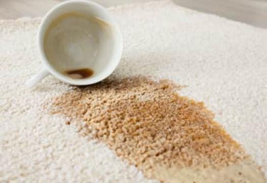 Other uses for garment cleaner