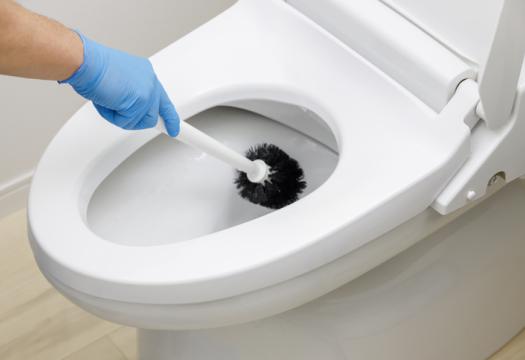 Cleaning the toilet with a brush | Merry Maids