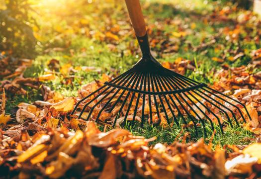 Rake leaves in autumn | Merry Maids
